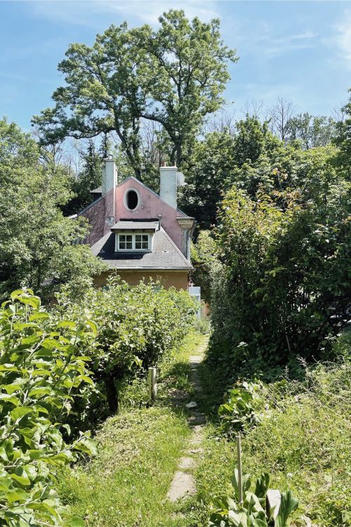 RREEL - Une maison en forêt